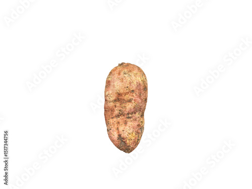 Yam is a general term for a variety of plants whose tubers are edible.