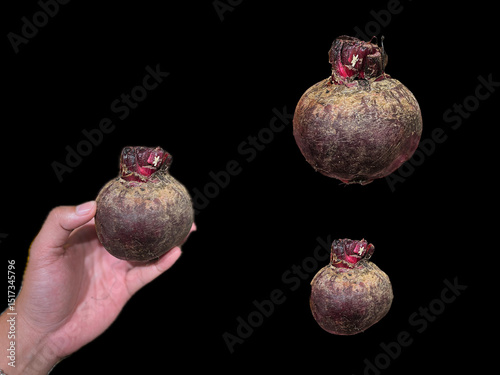 Beetroot, also known as red beet, is a tuber that is purplish red in color. photo