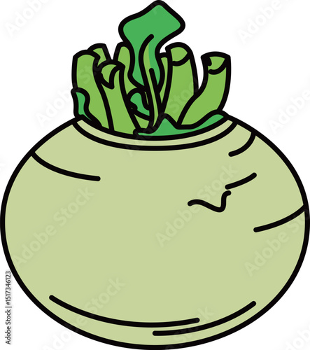フラットカラーで描かれたかぶのイラスト
