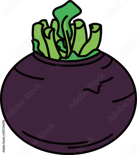 フラットカラーで描かれたかぶのイラスト