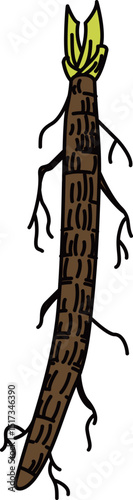 フラットカラーで描かれたごぼうのイラスト