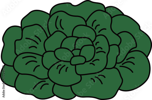 フラットカラーで描かれたタアサイのイラスト