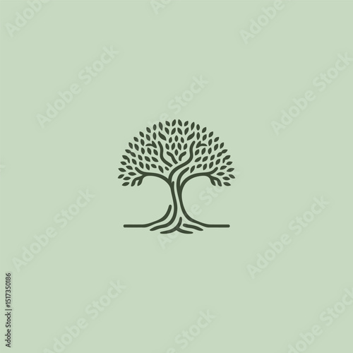 Banyan tree logo in strong and graceful illustration style.