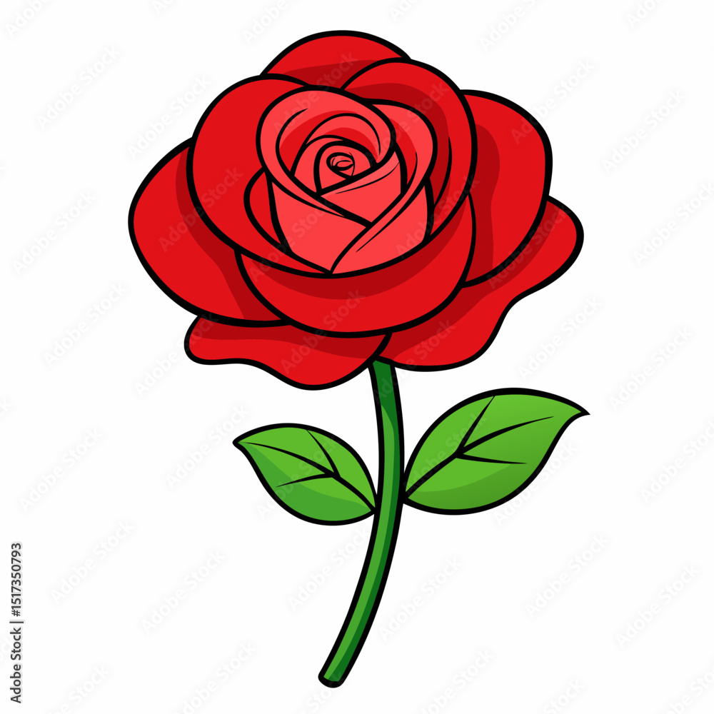 Hand drawn red rose illustration for design projects Hand drawn red rose illustration for design projects