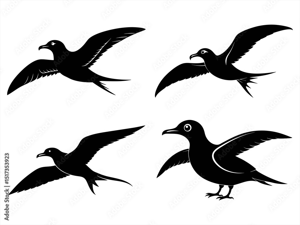 Obraz premium petrel sihouette black vector bundle