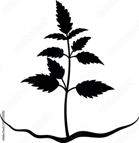 Nettle Plant Silhouette Line Art Vector Illustration