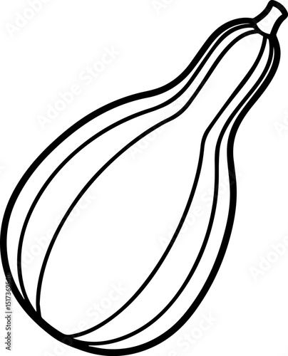 bottle gourd outline vector illustration line art