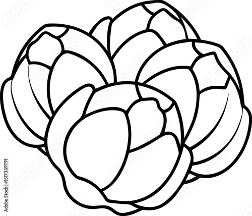 brussels sprouts vegetable outline coloring book page line art vector illustration