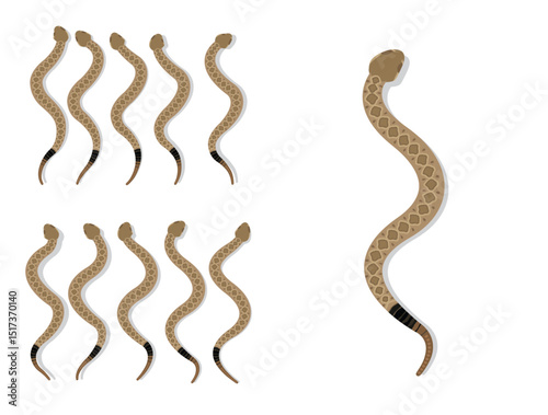 Prairie Rattlesnake Animal Animation Sequence Cartoon Vector