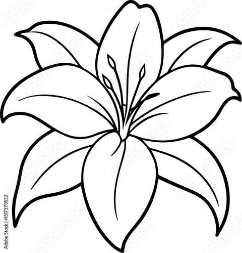 lily flower outline vector illustration line art