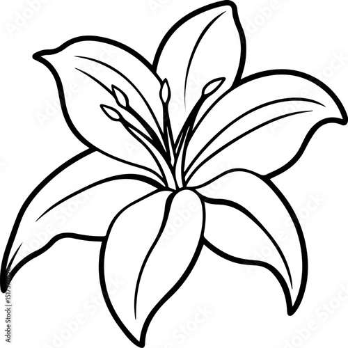 lily flower outline vector illustration line art