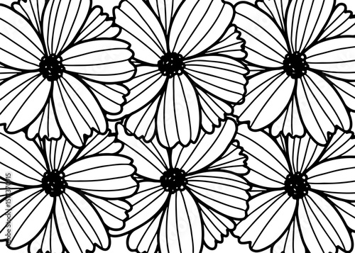 black and white seamless pattern flowers 