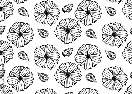 seamless background with Daisy Flowers