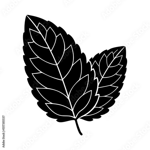 Vector illustration of two mint leaves in a minimalist black and white design on white background