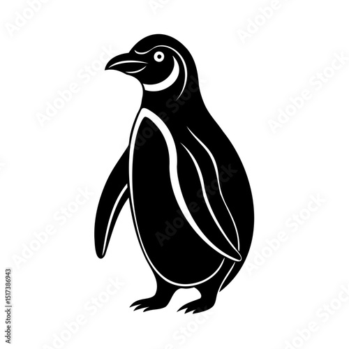 Elegant black and white vector illustration of a standing penguin on a white background