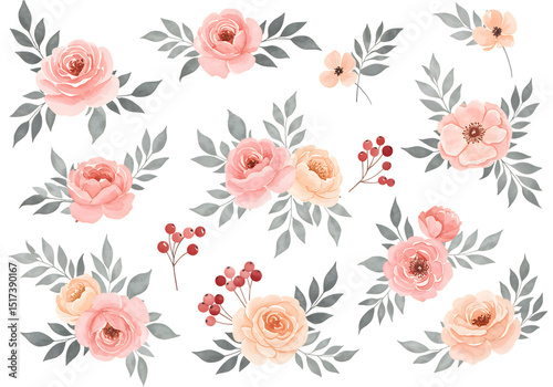 watercolor peach roses floral elements - boho flower backgrounds isolated on transparent background