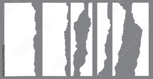 White realistic torn or ripped paper strip collection with grunge edges. Rips paper texture vector art background
