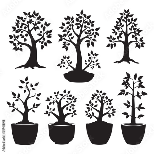Silhouette collection of various trees and bonsai in pots. Simple, stylized black silhouettes of different tree types.