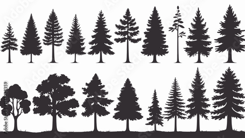 Diverse Silhouette Collection of Forest Trees: Pine, Fir, and Broadleaf Evergreen Trees.