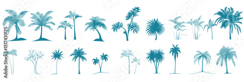 Set of tropical palm tree silhouettes vector illustration with various shapes and sizes for landscape and architecture design elements collection digital art