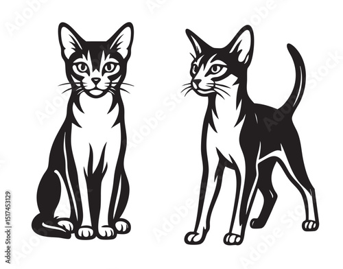 Black and white vector illustration of two elegant Abyssinian cats, one sitting and one standing, with sleek bodies and large ears, perfect for art and prints.