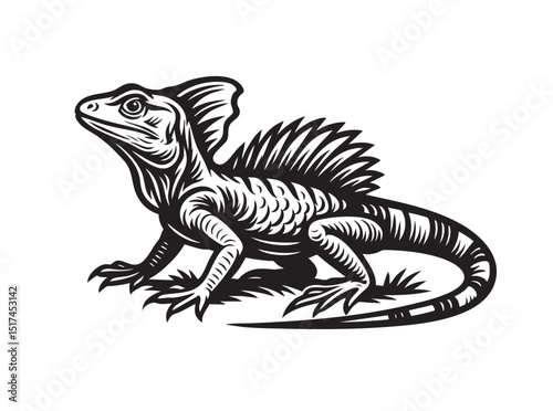 Detailed black and white vector of a Basilisk lizard, also known as the Jesus lizard, with distinctive crest and scales. Perfect for reptile art and designs.