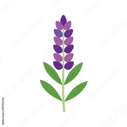 lilac branch isolated on white background