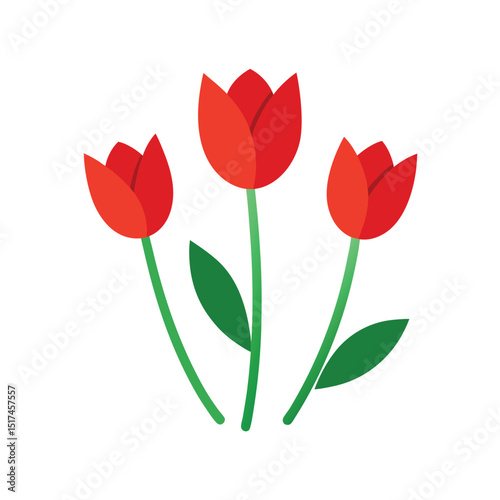 red tulips on white background