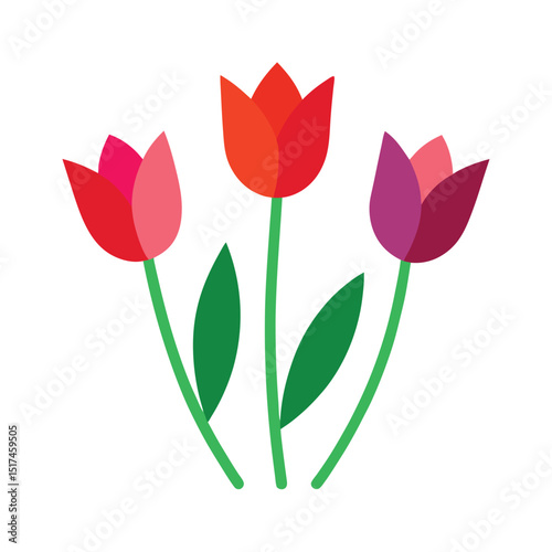 red tulips on white background