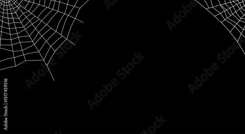 cobweb, spider web, intricate patterns, dark background, shadows, mysterious, eerie, ethereal, detailed textures, high contrast, gothic, haunting