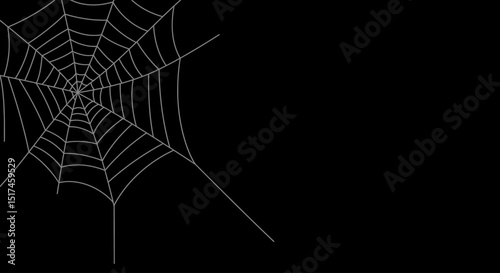 cobweb, spider web, intricate patterns, dark background, shadows, mysterious, eerie, ethereal, detailed textures, high contrast, gothic, haunting