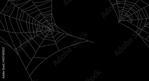 cobweb, spider web, intricate patterns, dark background, shadows, mysterious, eerie, ethereal, detailed textures, high contrast, gothic, haunting