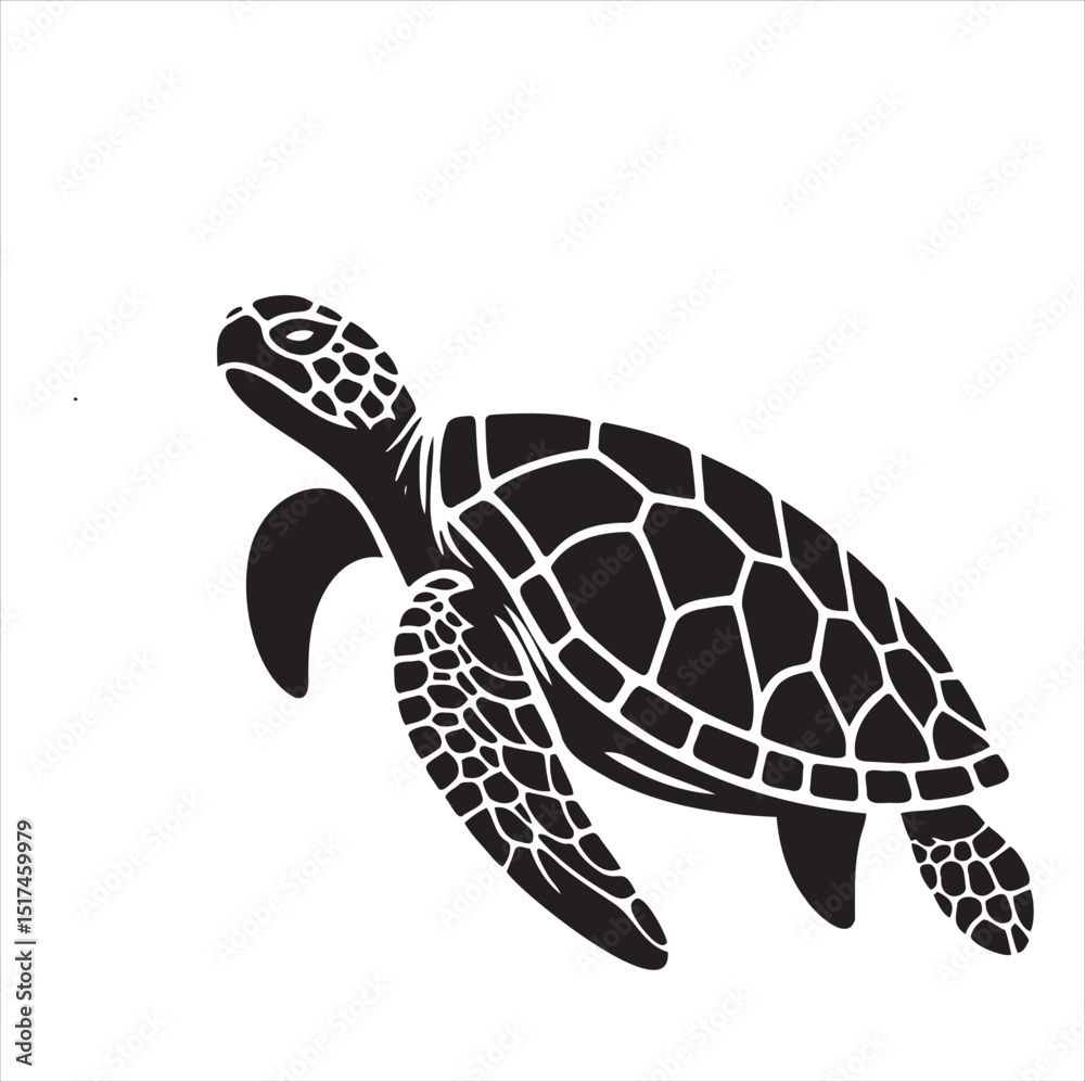 Fototapeta premium Turtle 
