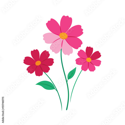 pink flowers on white background