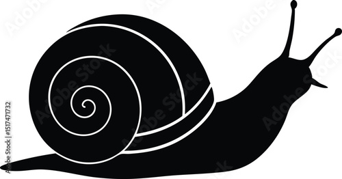 snail black silhouette vector illustration