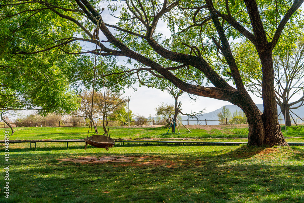 Empty swing under a tree in the park Empty swing under a tree in the park