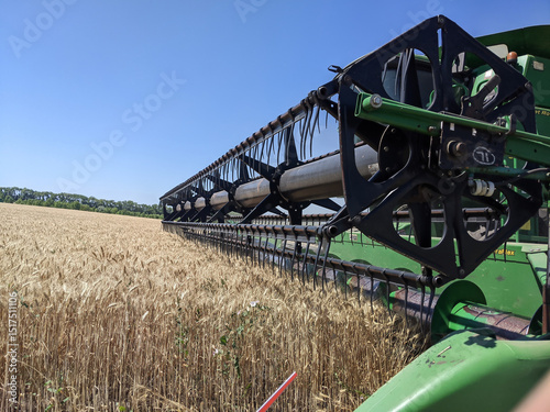 Harvest threshing of winter wheat ears. The harvesting of wheat grain continues in wide golden fields with powerful threshing combines