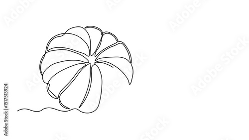 Abstract tangerine, mandarine,mandarin and its slices. Self drawing animation one continuous line draw, logo