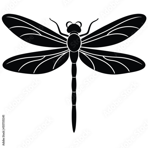 A vibrant vector illustration of a set of dragonflies, showcasing their intricate wings and colorful bodies isolated on a white background