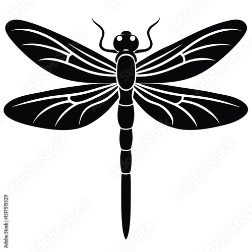dragonfly vector illustration