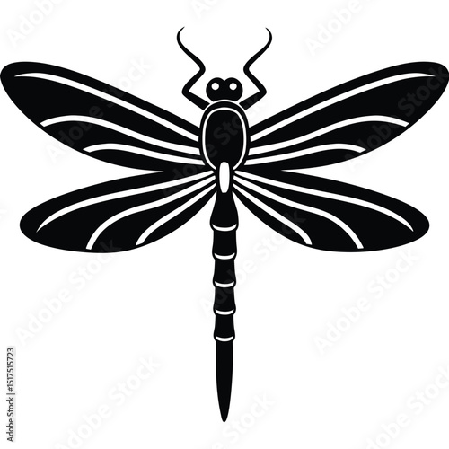 Dragonfly vector illustration of a green insect with delicate wings, isolated on a white background for nature and wildlife designs