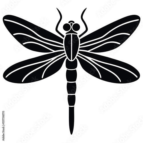 dragonfly isolated on white background