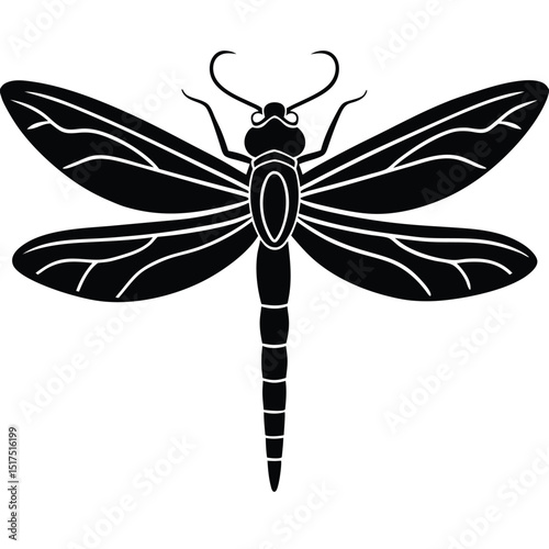 Green dragonfly insect with delicate wings flying in a nature vector illustration isolated on white