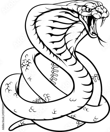 Cobra Snake Baseball Ball A...