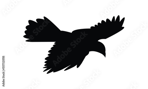 Flying Alpine chough bird Silhouette Design  And Vector Illustration. 