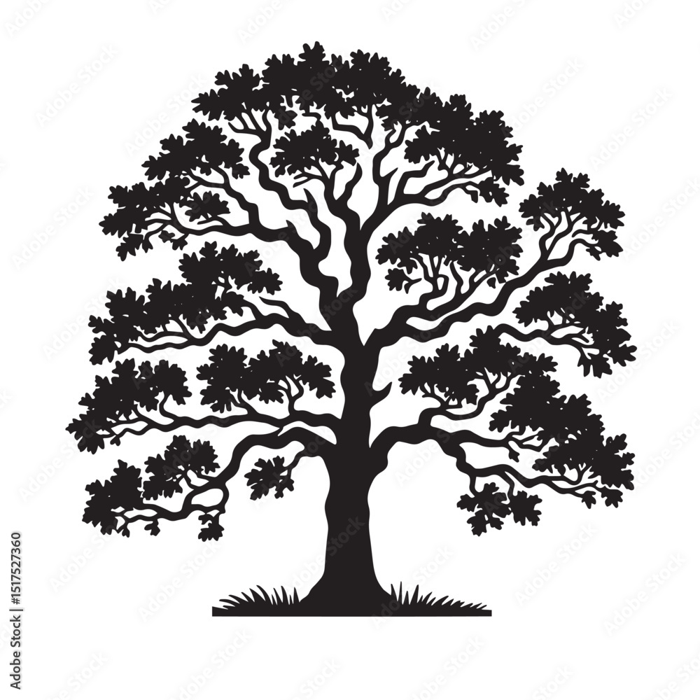 Obraz premium Oak Tree SVG 