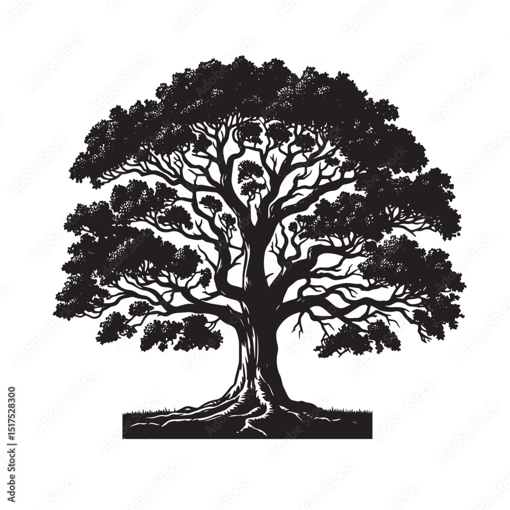 Fototapeta premium Oak Tree SVG