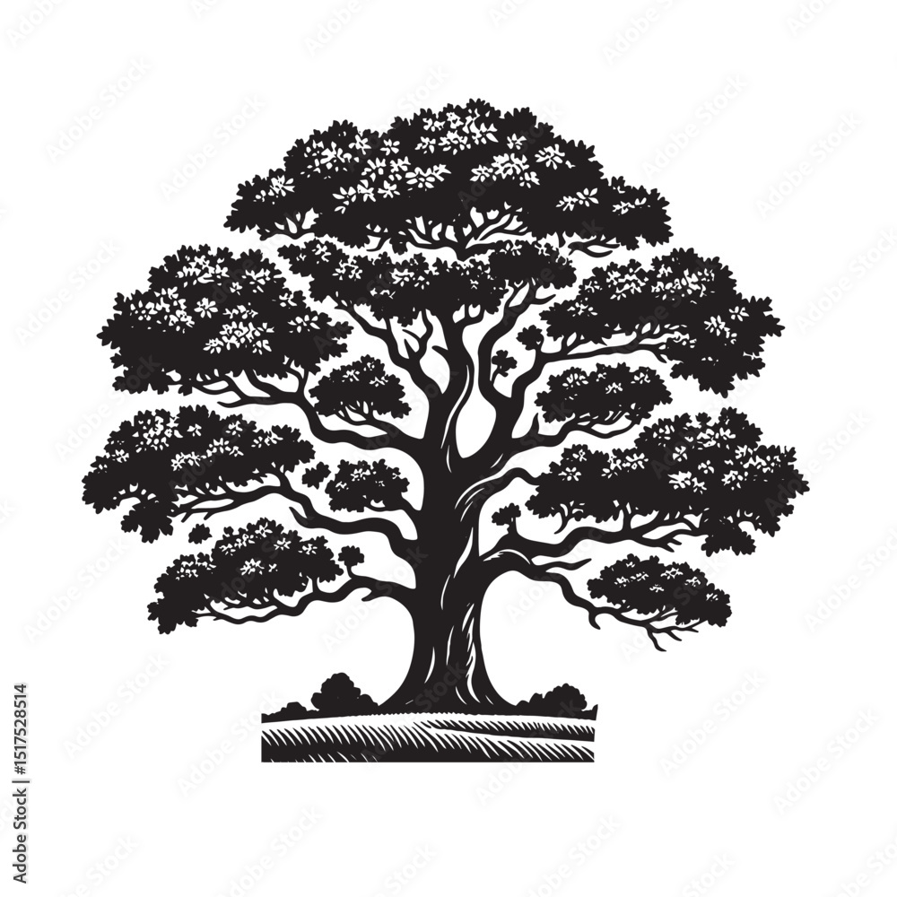 Fototapeta premium Oak Tree SVG 