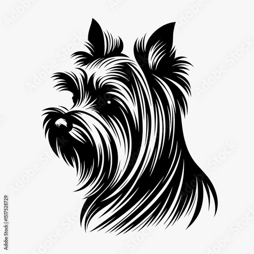 Yorkshire Terrier in black and white style