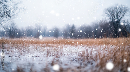 Snowfall in Winter Landscape. Snowy Field with Trees and Soft Snowflakes